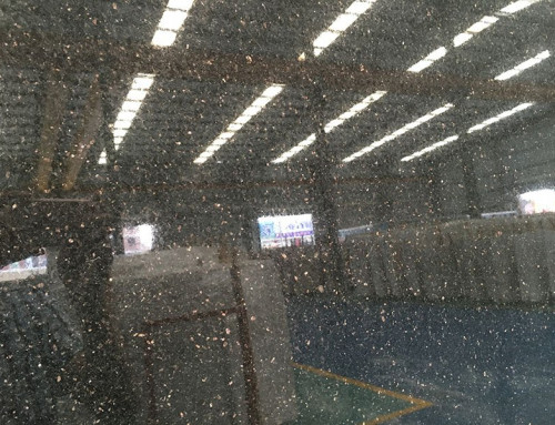 Black Sparkle Granite
