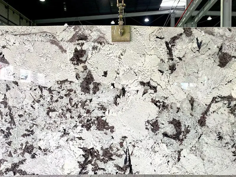 Splendor White Granite Countertops