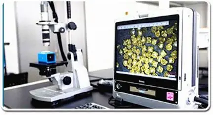 Diamond Quality Inspection Diamond Quality Inspection