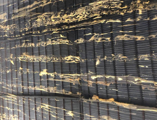 Black Marble with Gold Veins